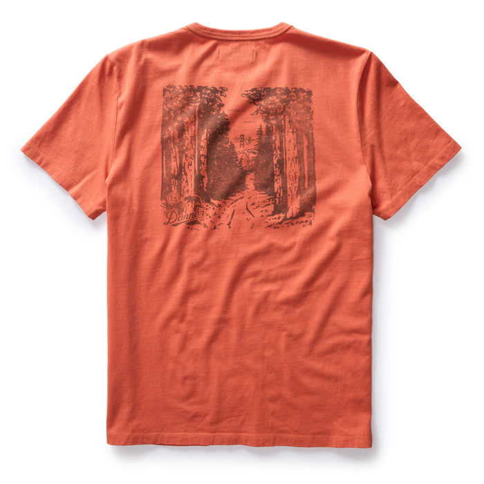 flatlay of the back of The Organic Cotton Tee in Coastal Trail