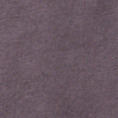 color swatch of The Organic Cotton Tee in Dried Plum