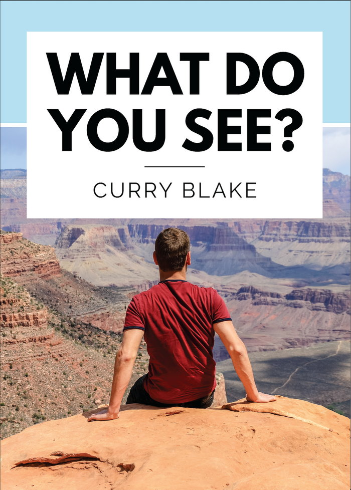 What Do You See? (Physical MP3 Disc)