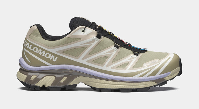 XT 6 GORE-TEX Mens Running Shoes (Eucalyptus/Silver Sage/Cosmic Sky)
